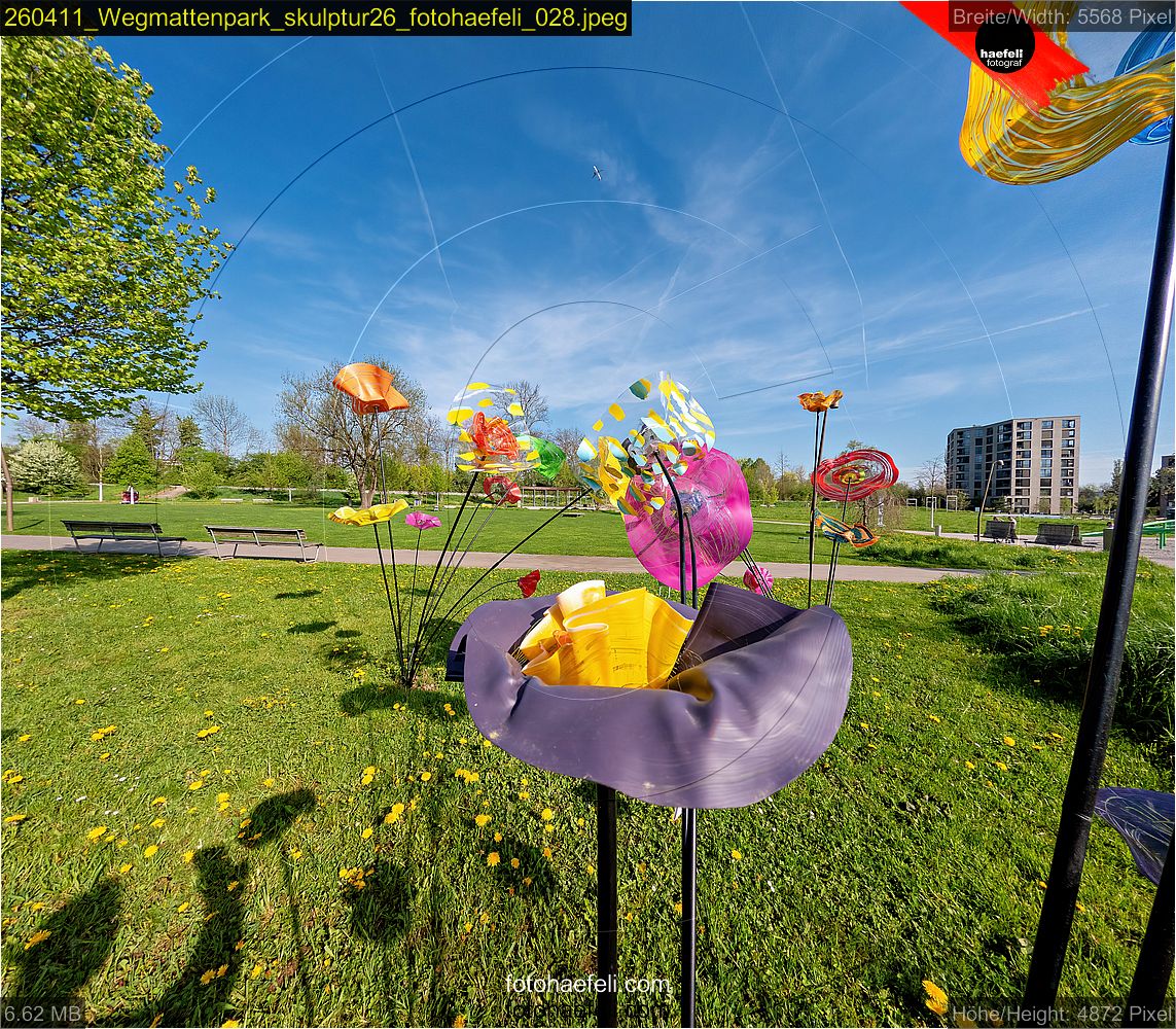 260411_Wegmattenpark_skulptur26_fotohaefeli_028.jpeg
