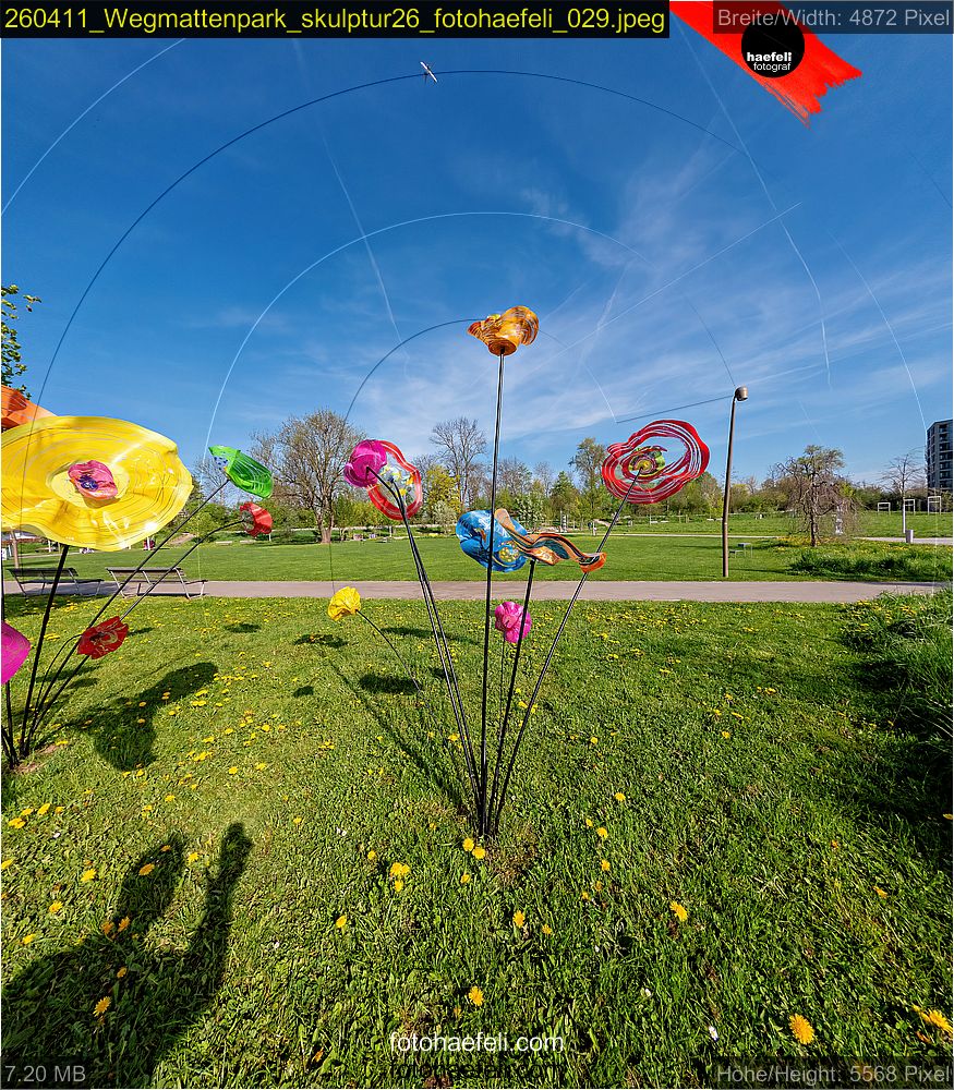 260411_Wegmattenpark_skulptur26_fotohaefeli_029.jpeg