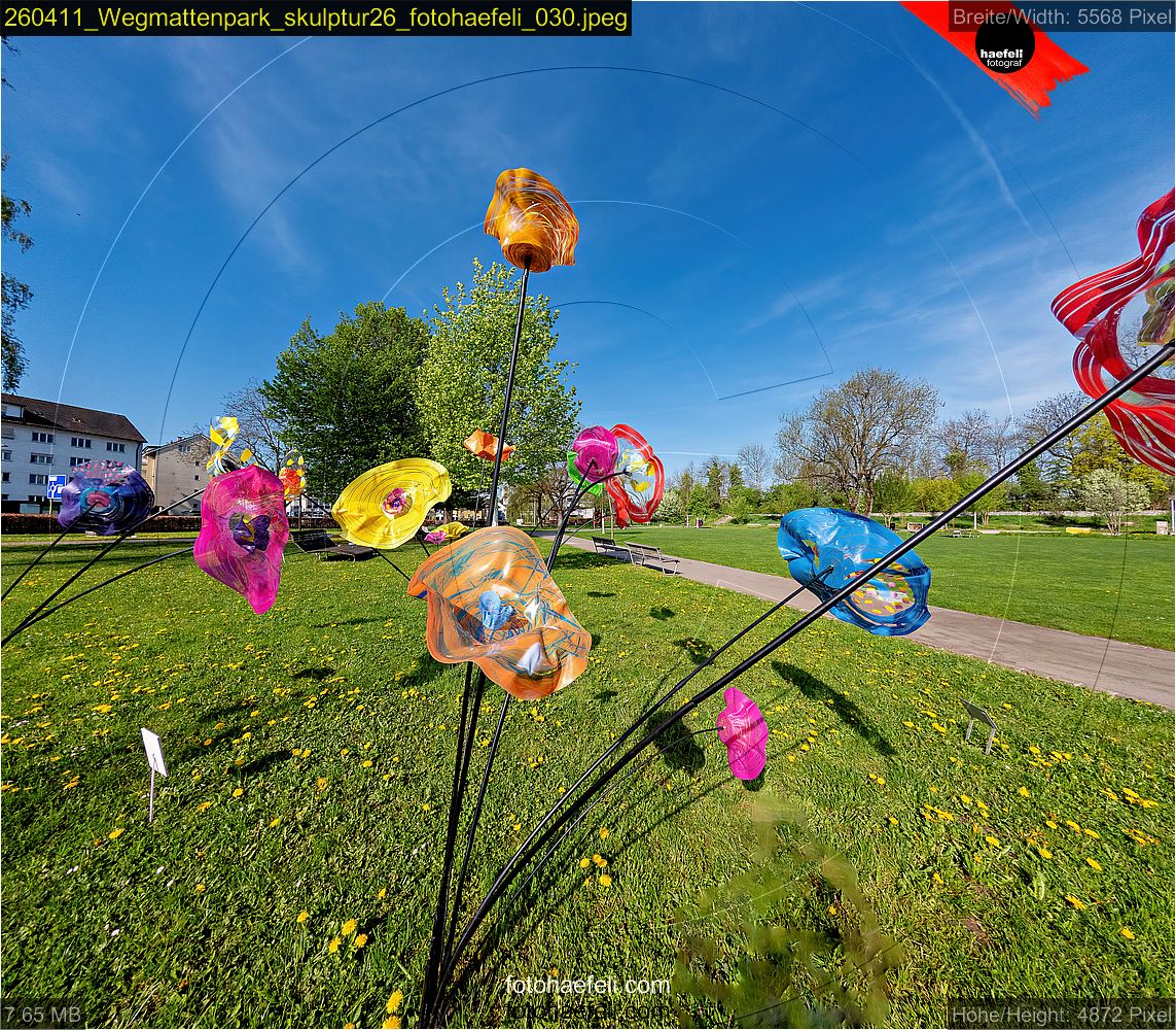 260411_Wegmattenpark_skulptur26_fotohaefeli_030.jpeg