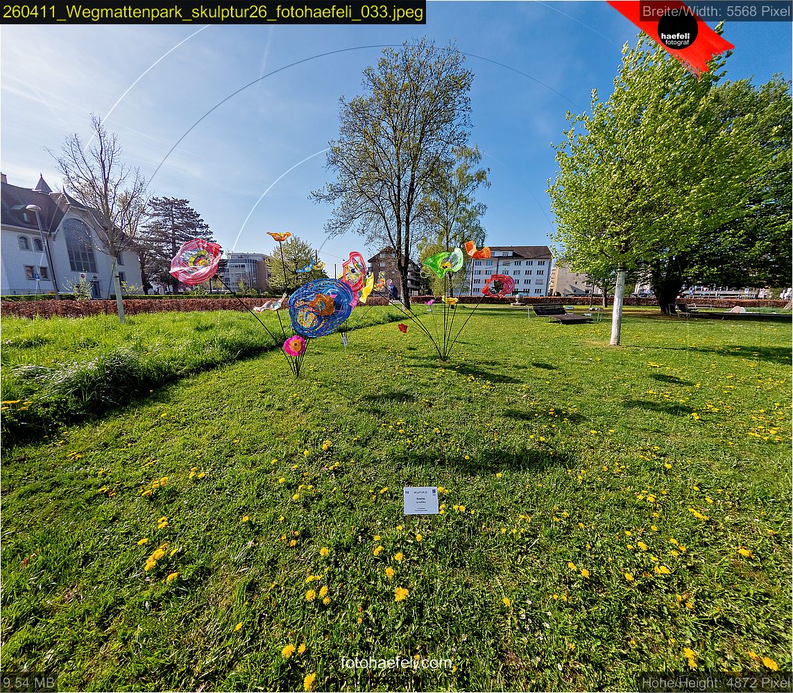 260411_Wegmattenpark_skulptur26_fotohaefeli_033.jpeg