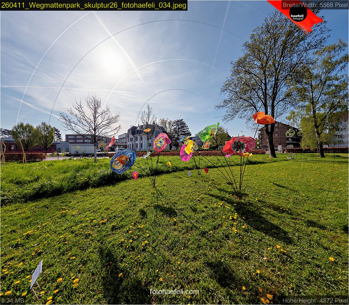 260411_Wegmattenpark_skulptur26_fotohaefeli_034.jpeg