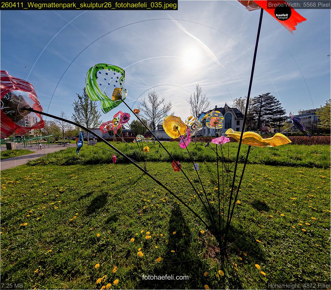 260411_Wegmattenpark_skulptur26_fotohaefeli_035.jpeg