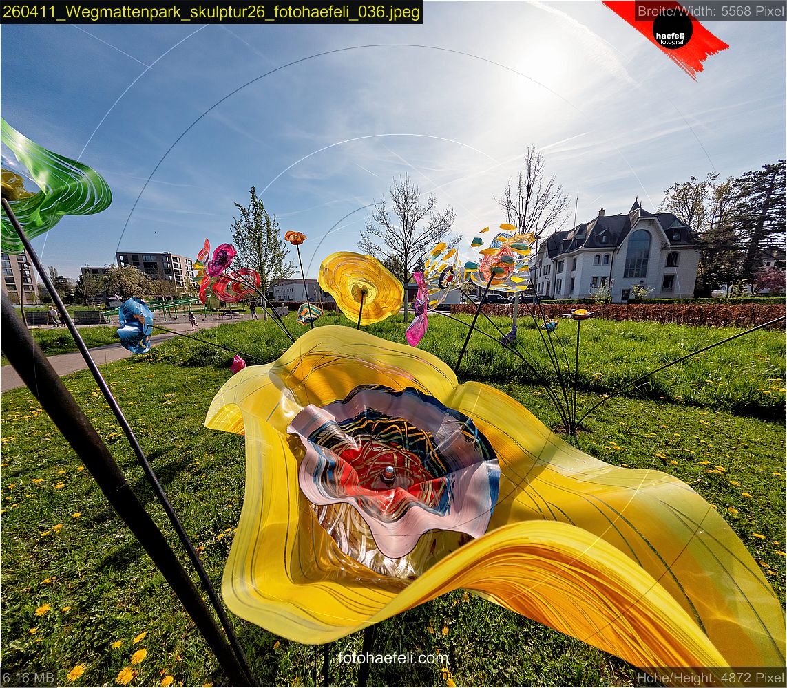 260411_Wegmattenpark_skulptur26_fotohaefeli_036.jpeg