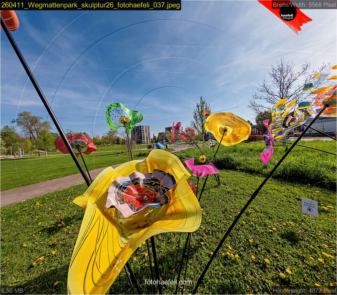 260411_Wegmattenpark_skulptur26_fotohaefeli_037.jpeg