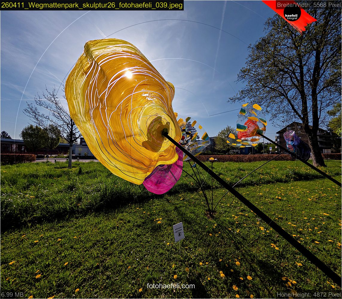 260411_Wegmattenpark_skulptur26_fotohaefeli_039.jpeg