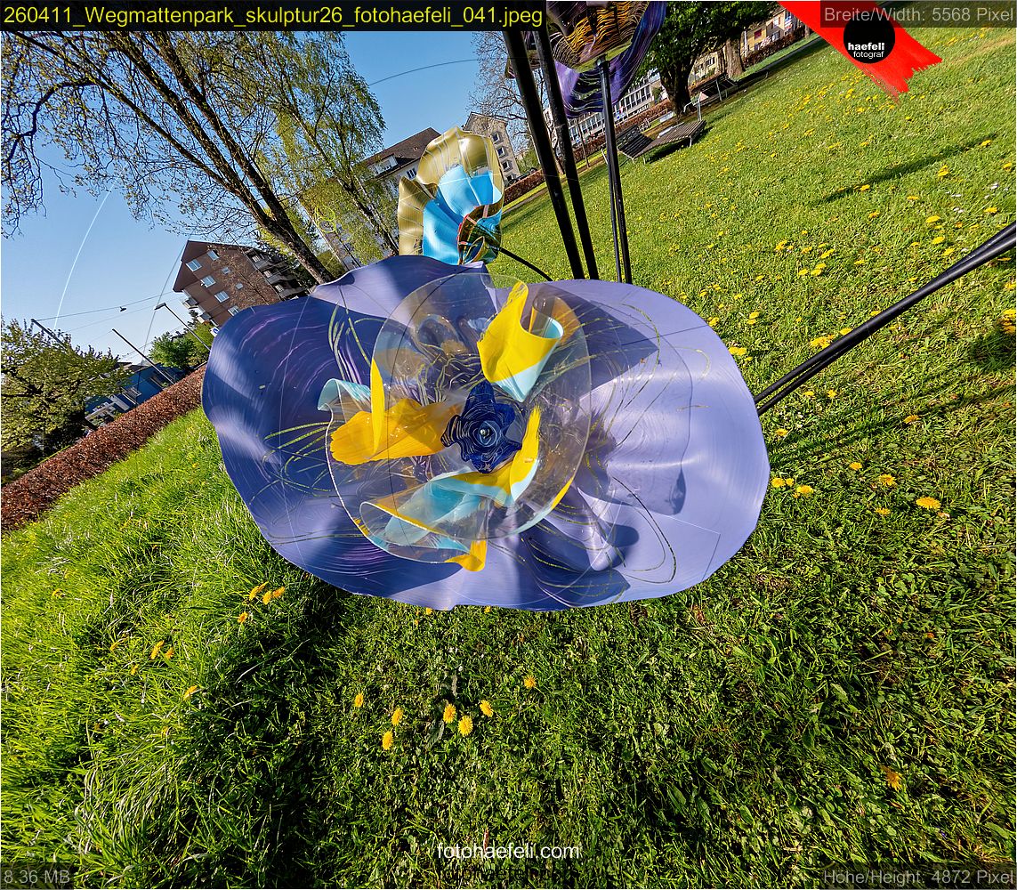 260411_Wegmattenpark_skulptur26_fotohaefeli_041.jpeg