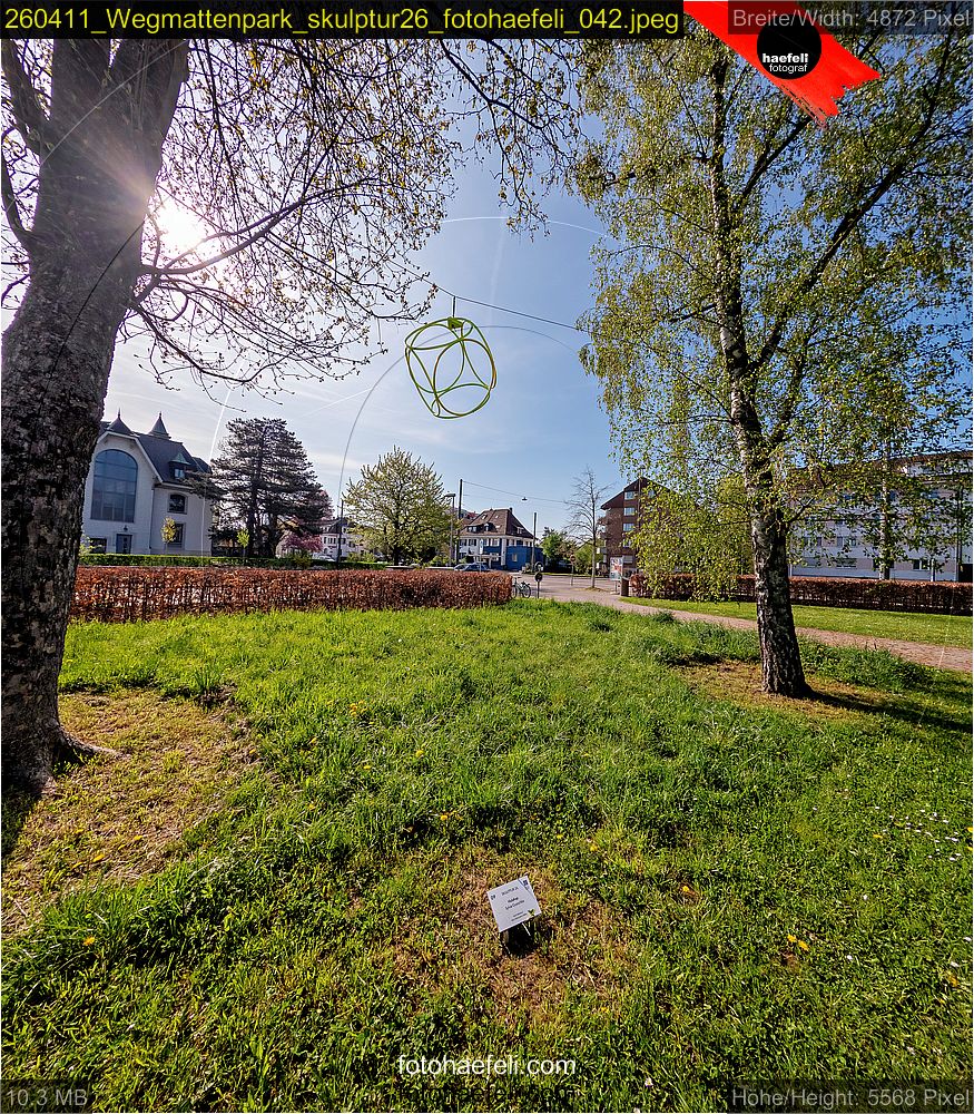 260411_Wegmattenpark_skulptur26_fotohaefeli_042.jpeg