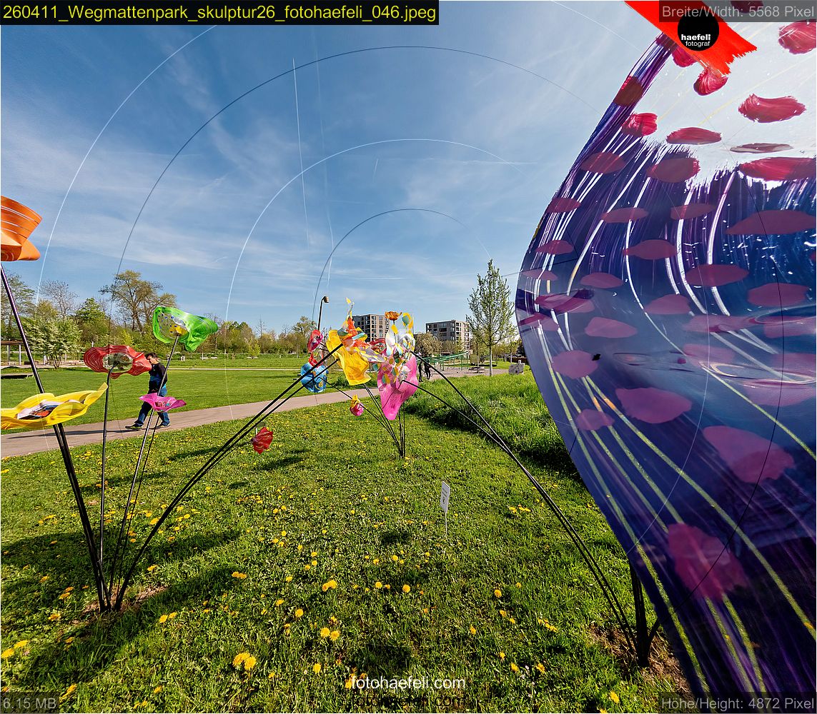 260411_Wegmattenpark_skulptur26_fotohaefeli_046.jpeg