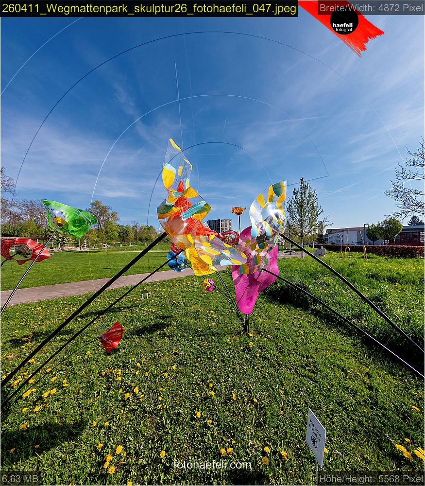 260411_Wegmattenpark_skulptur26_fotohaefeli_047.jpeg