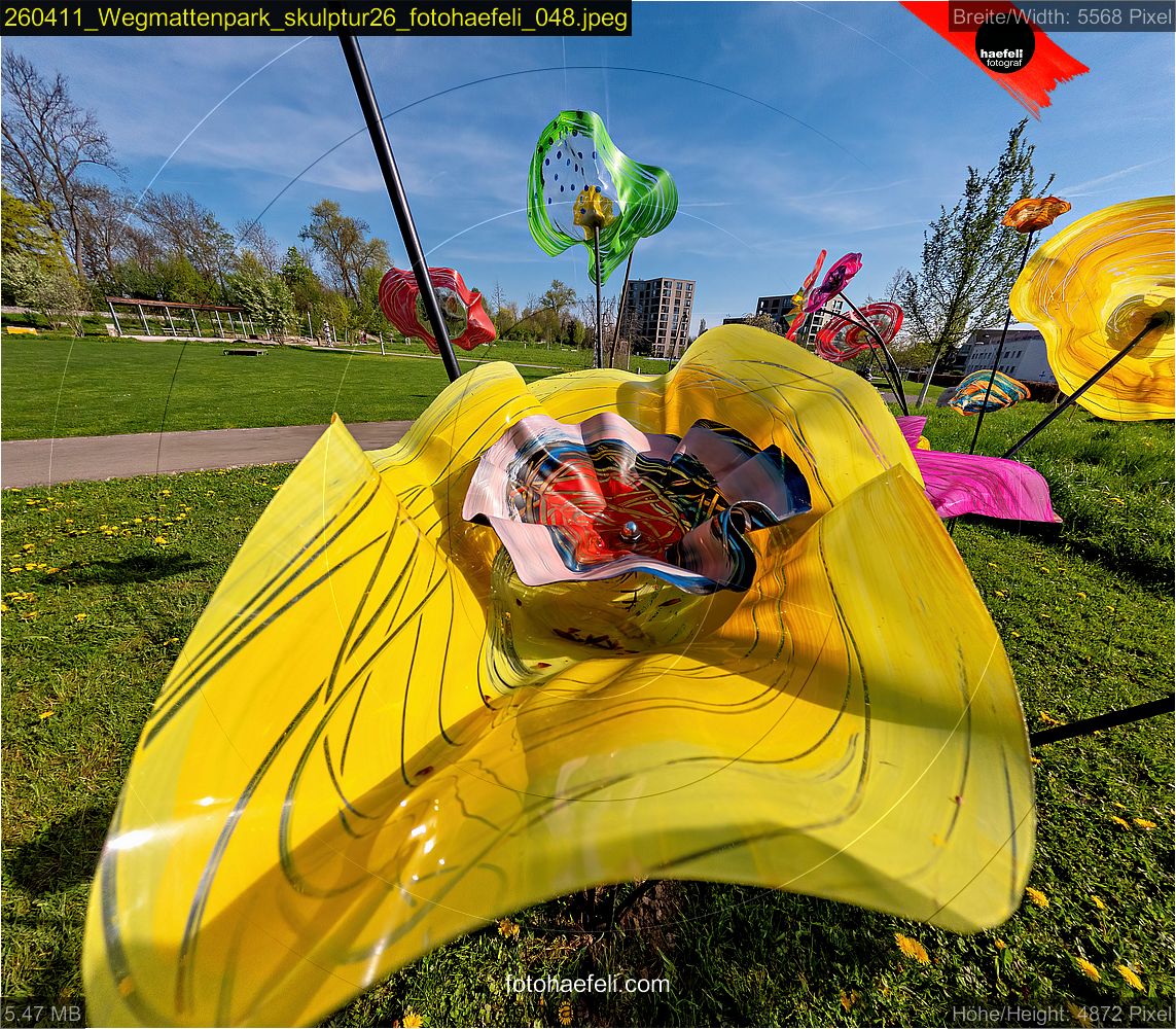 260411_Wegmattenpark_skulptur26_fotohaefeli_048.jpeg