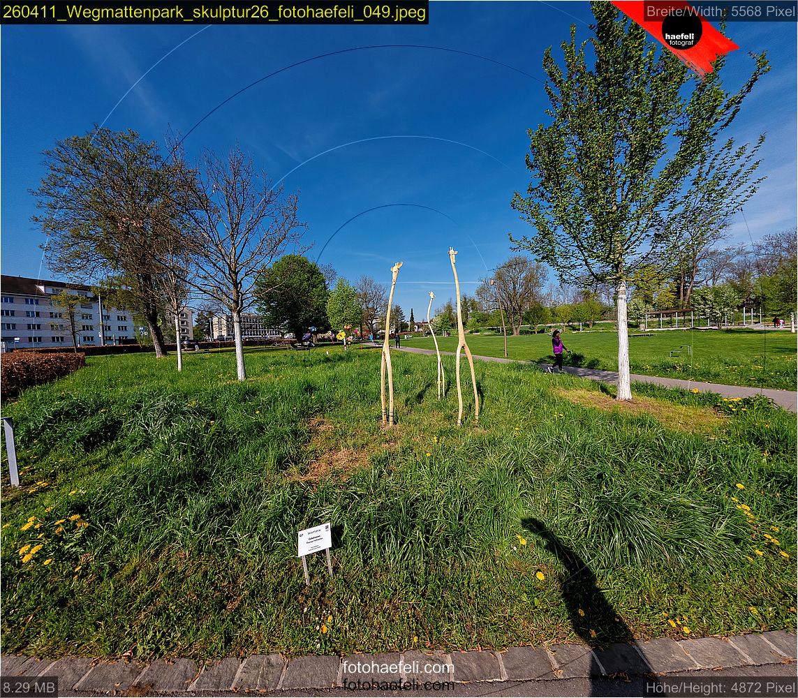 260411_Wegmattenpark_skulptur26_fotohaefeli_049.jpeg
