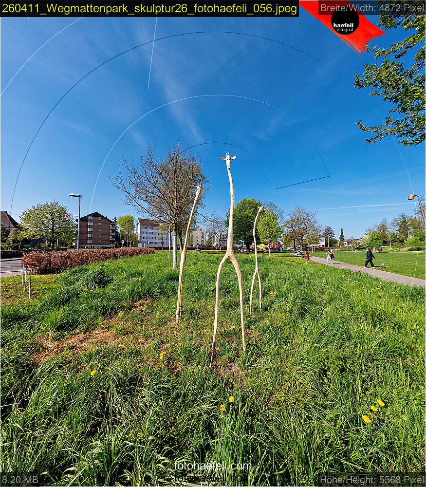 260411_Wegmattenpark_skulptur26_fotohaefeli_056.jpeg