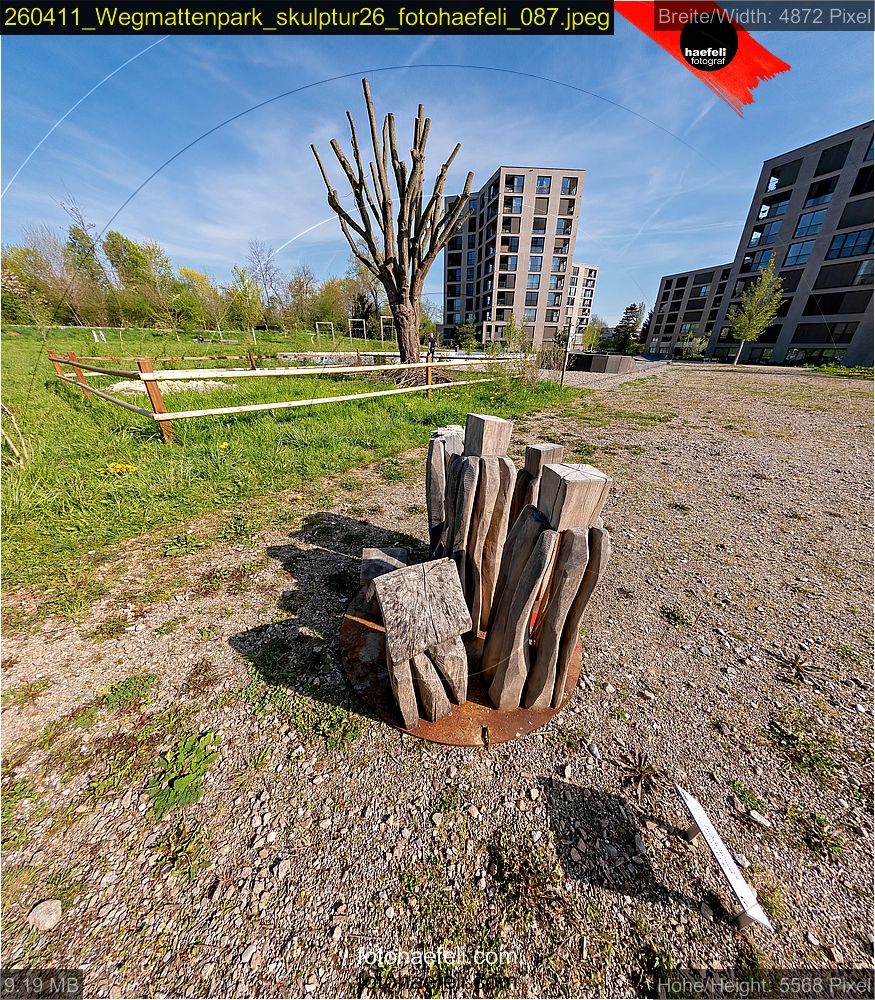 260411_Wegmattenpark_skulptur26_fotohaefeli_087.jpeg