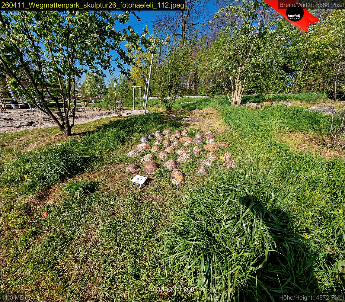 260411_Wegmattenpark_skulptur26_fotohaefeli_112.jpeg