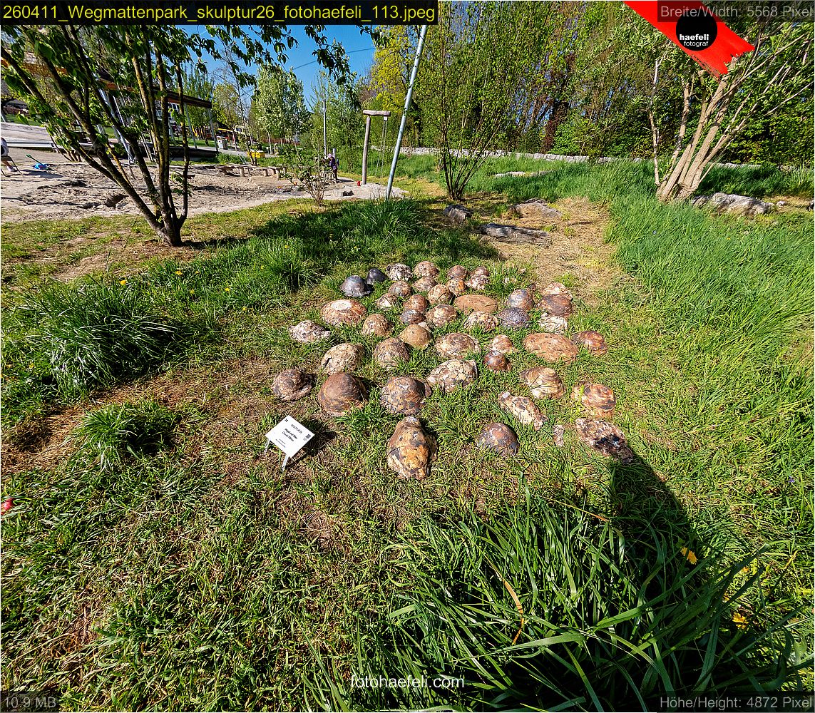 260411_Wegmattenpark_skulptur26_fotohaefeli_113.jpeg