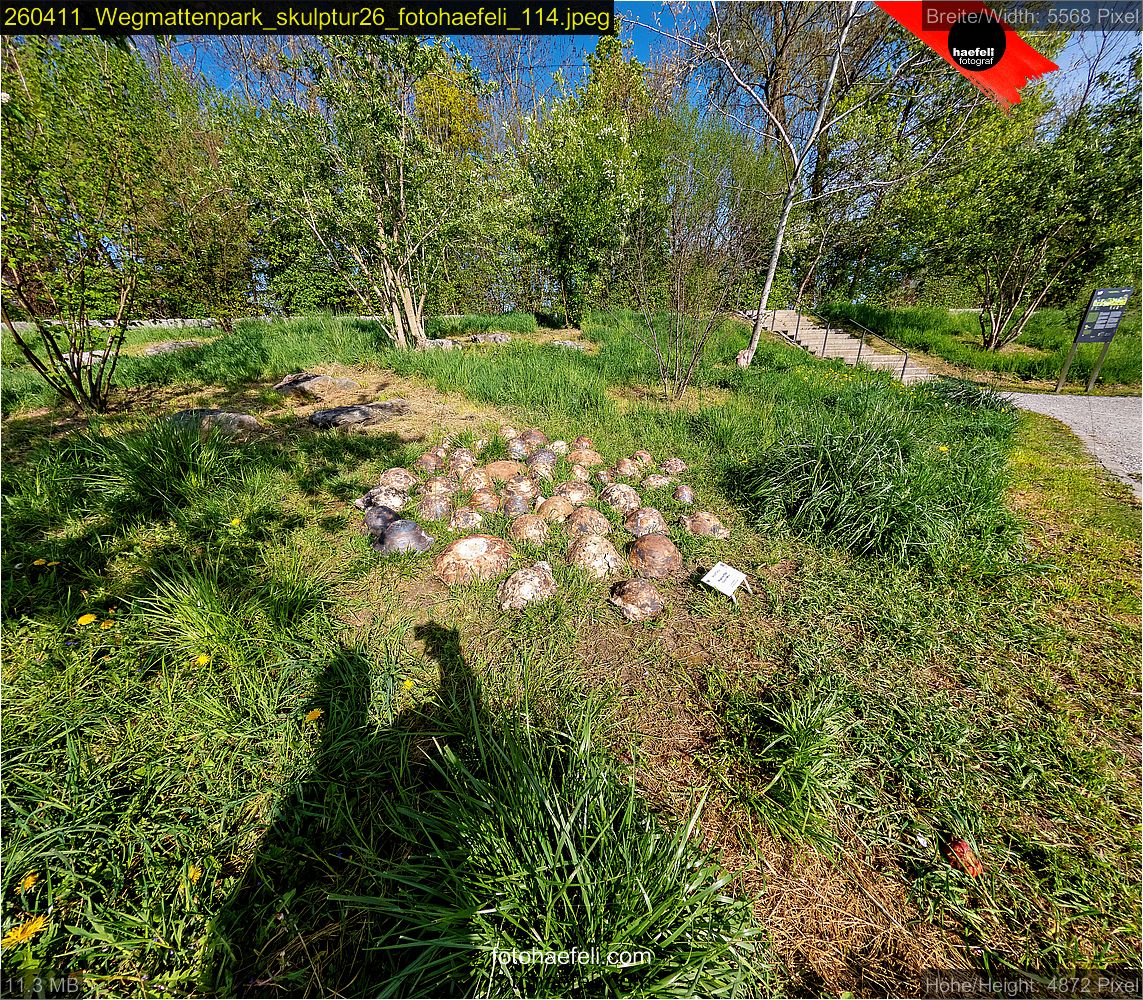 260411_Wegmattenpark_skulptur26_fotohaefeli_114.jpeg