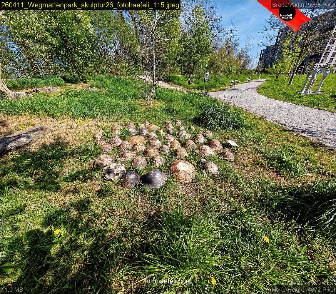 260411_Wegmattenpark_skulptur26_fotohaefeli_115.jpeg