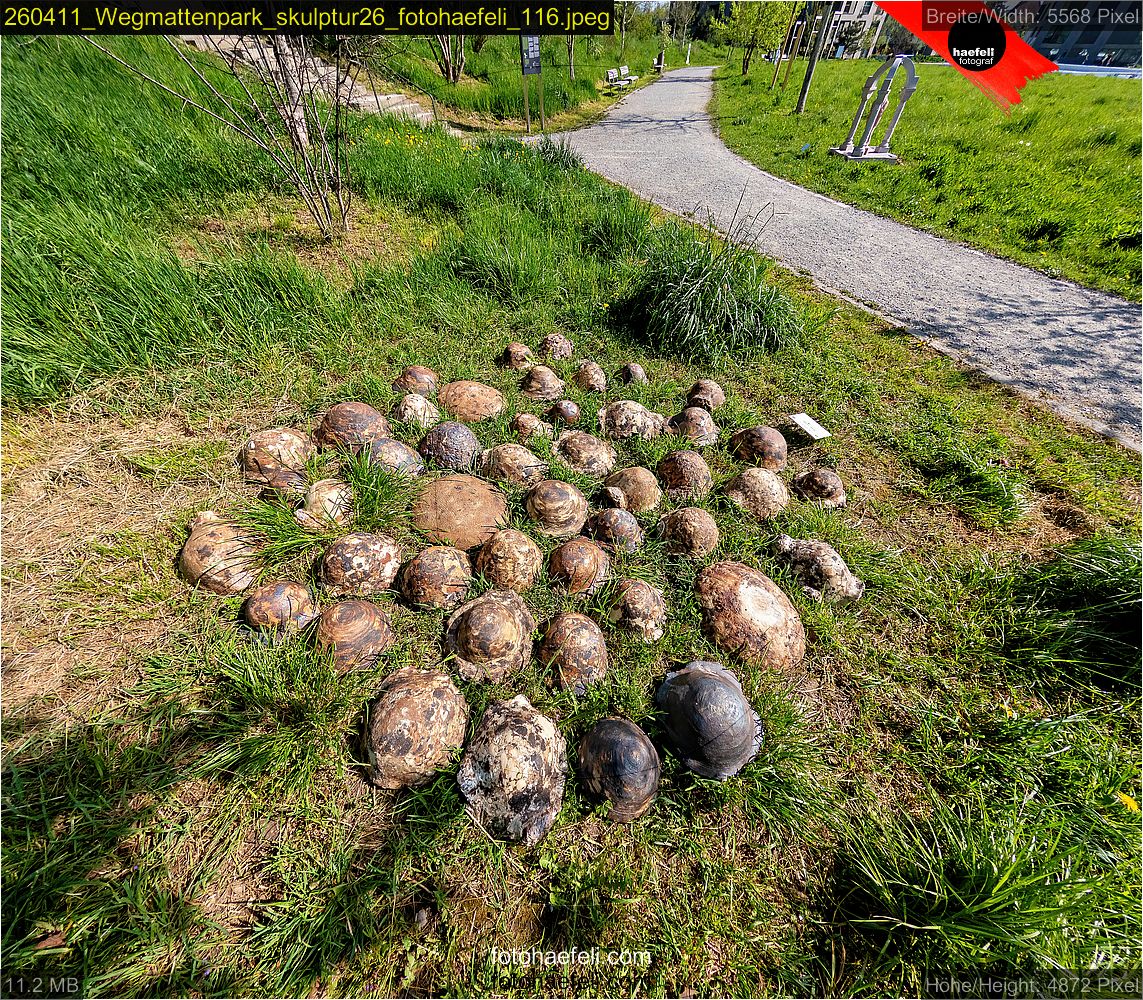 260411_Wegmattenpark_skulptur26_fotohaefeli_116.jpeg