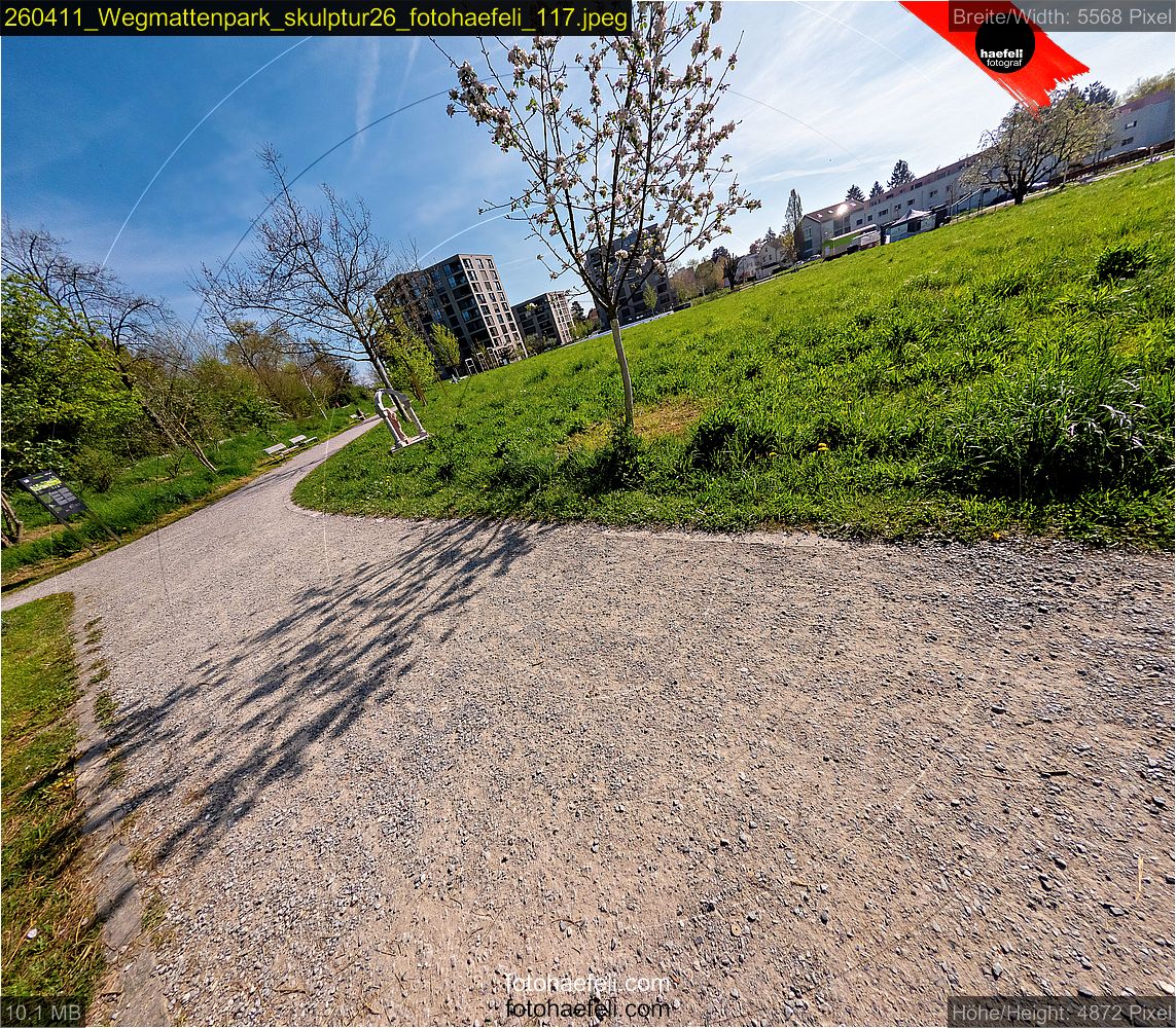260411_Wegmattenpark_skulptur26_fotohaefeli_117.jpeg