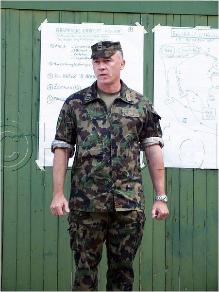 1417.jpg