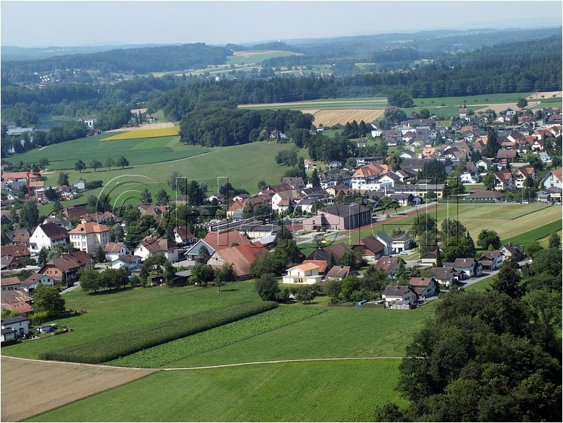 1531.jpg