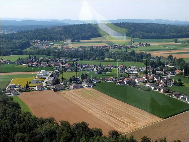 1533.jpg