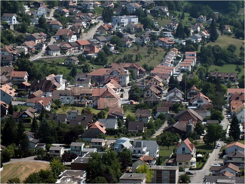 1561.jpg