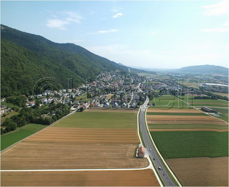 1562.jpg