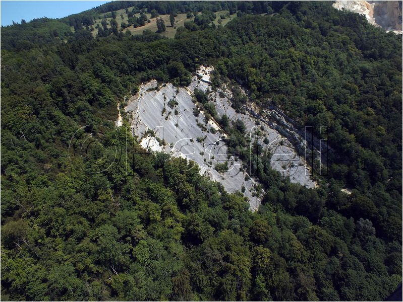1565.jpg