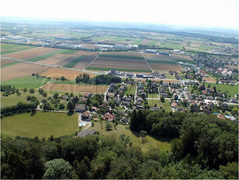 1567.jpg