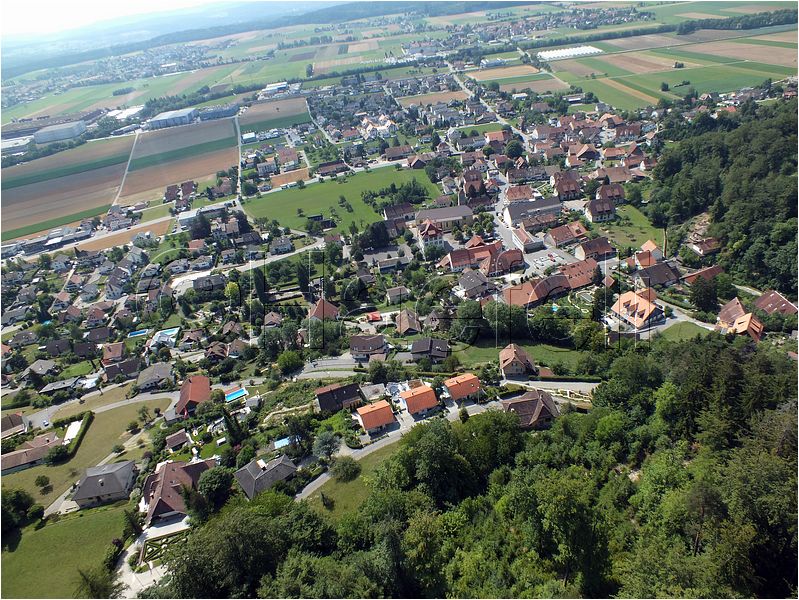 1568.jpg