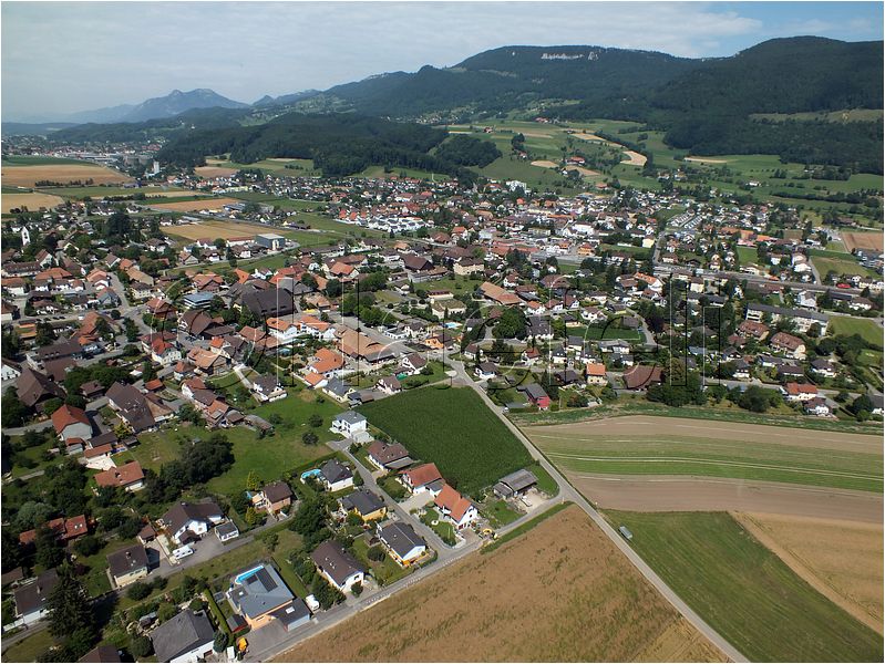 1594.jpg