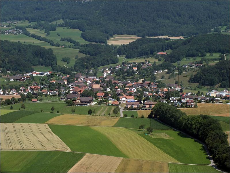 1603.jpg