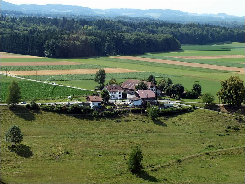 1700.jpg