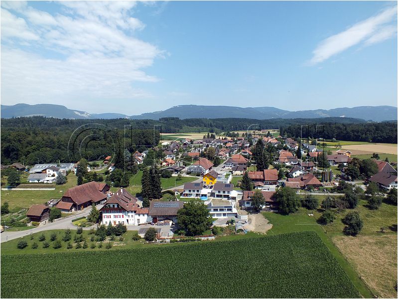 1720.jpg