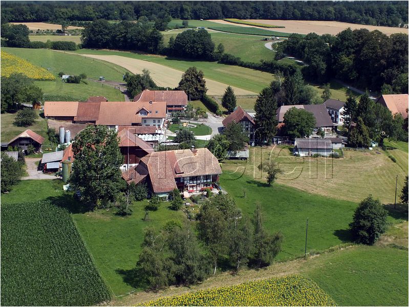 1729.jpg