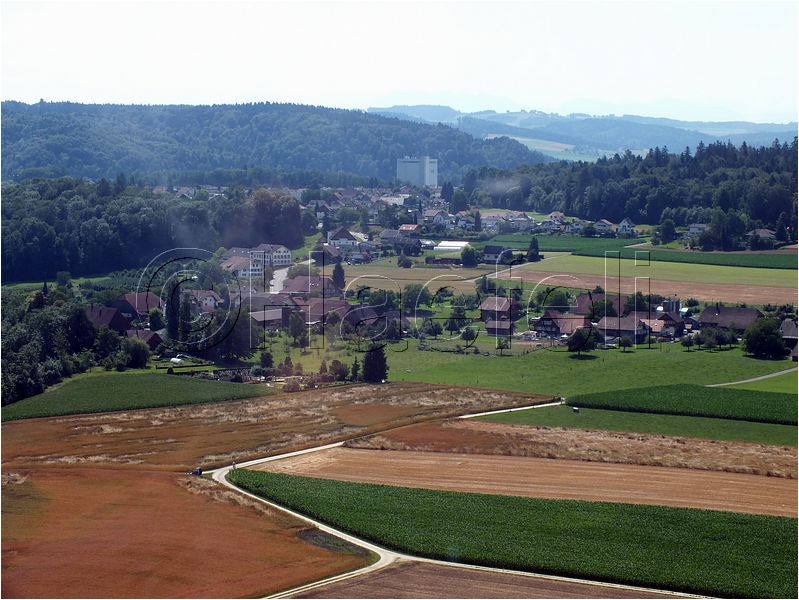 1735.jpg