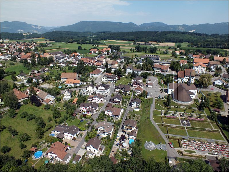 1736.jpg