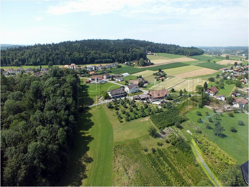 1745.jpg