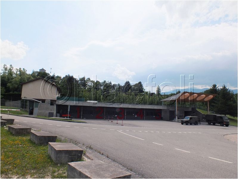 803.jpg