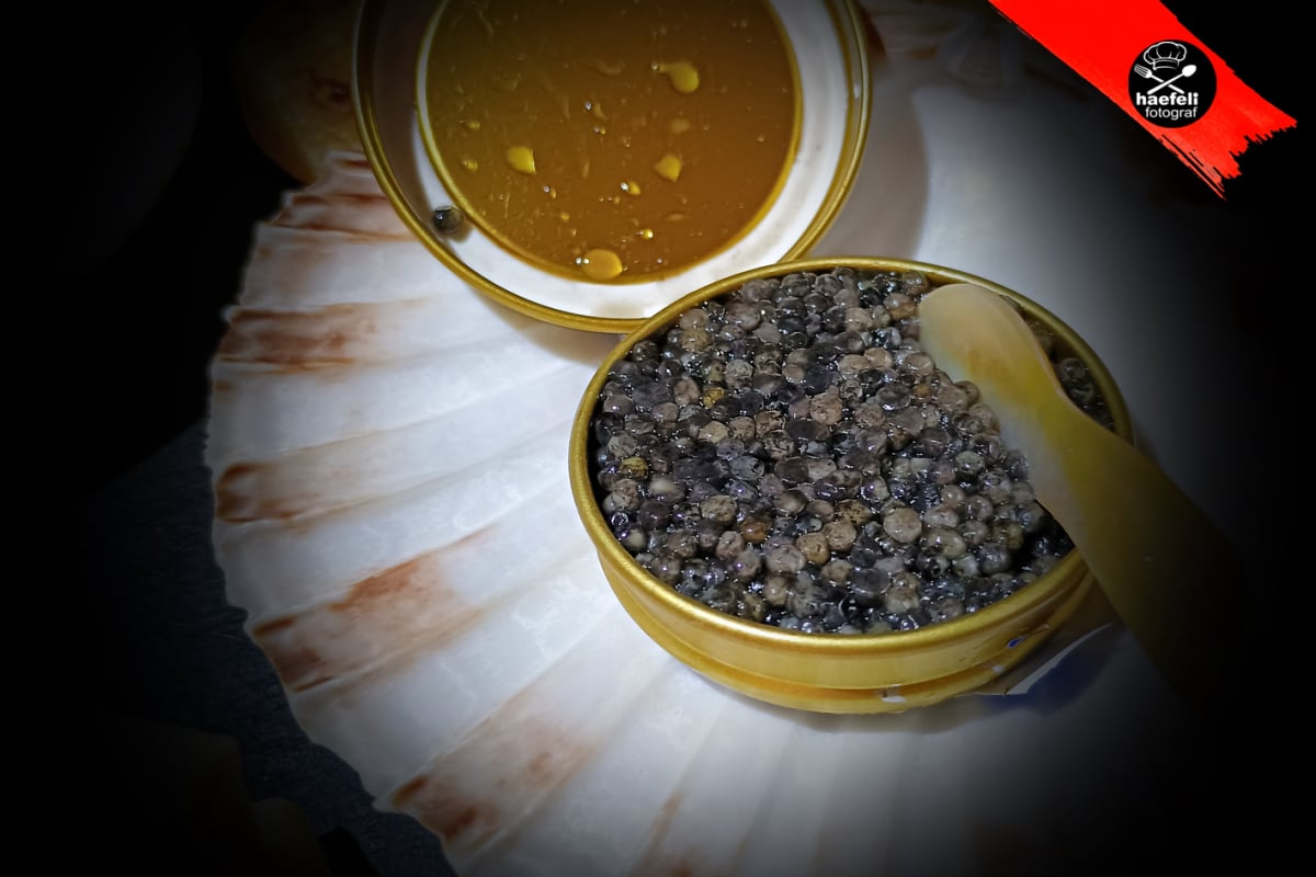 kya bya geneva, caviar, baeri, kaviar, husohuso, stör, estourgeon, fotohaefeli, jörg haefeli aarwangen, food fotograf, food photographer