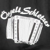 Fotohaefeli Hochzeitsfotograf fotograf Kundenlogo örgelischletzer örgeligrossformation wynau