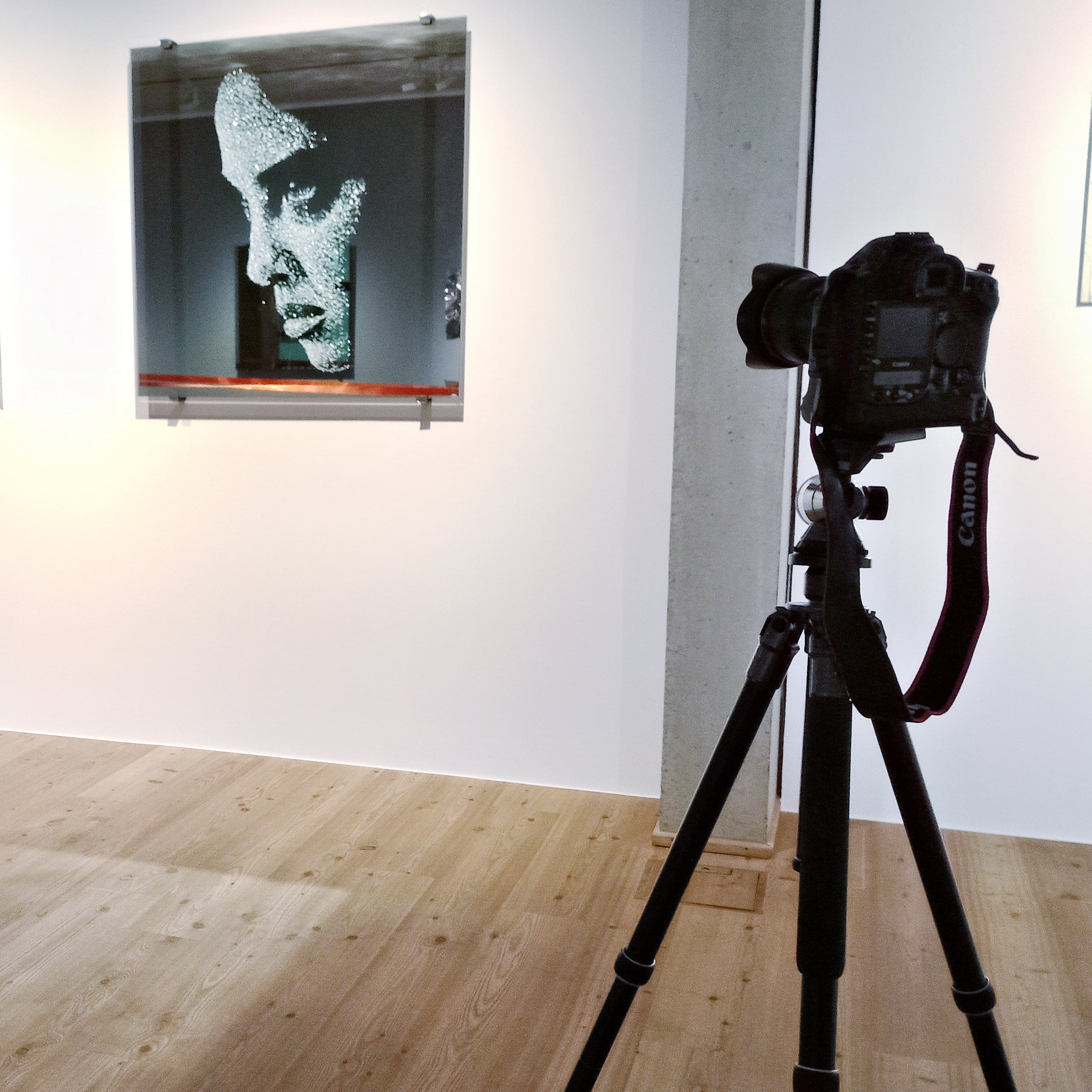 professionelle aufnahmen für kataloge presse museen ausstellungen künstler fotohaefeli stativaufnahmen