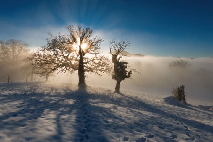 natur, Jahreszeiten, 4seasons, Frühling, sommer, herbst, winter, fotohaefeli